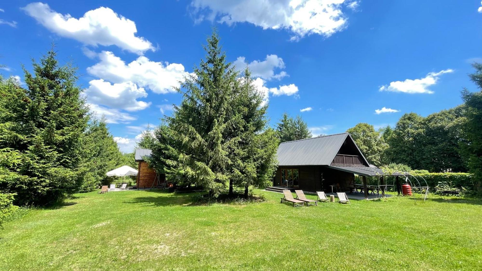 Na Skraju Lasu Guciow Exterior foto