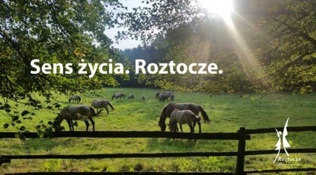 Na Skraju Lasu Guciow Exterior foto